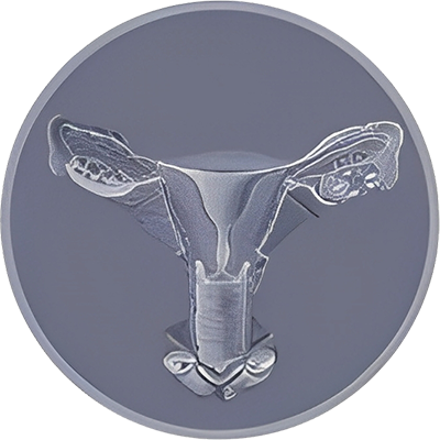 Gynecology And Obstetrics Surgery