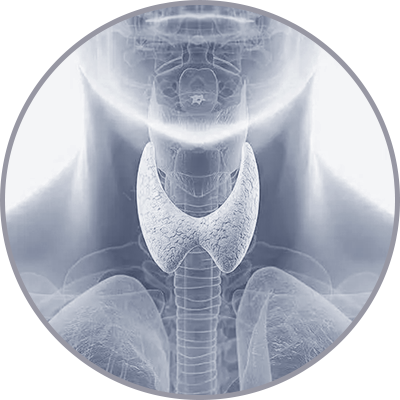 Thyroid Surgery