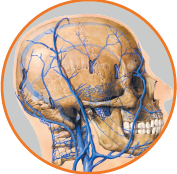 Neurosurgery and Spinal Surgery