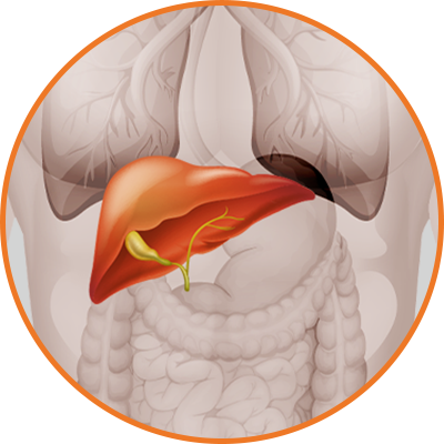 Hepatobiliary Surgery